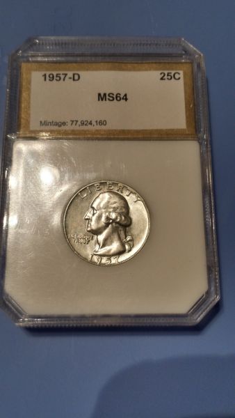 6-Dollar-Auction-Find